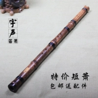 Một phần của Zizhu Người mới bắt đầu ngắn 箫 tám lỗ 箫 Nhạc cụ Xiao chuyên nghiệp Zizhu ngắn Gửi phụ kiện - Nhạc cụ dân tộc đàn tỳ bà