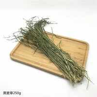 Столица федерального бутика Wicolor Grass 250g