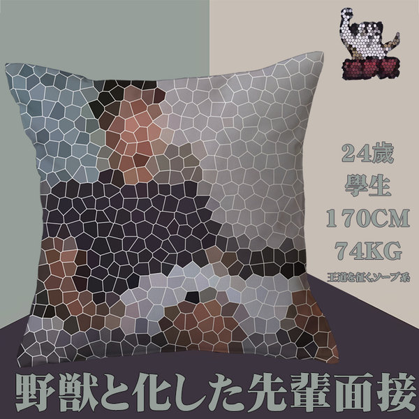 Магазин Лао Ху является предком зверя периферия DIY подушка Tian Shenghao Erzhen Summer Night Night Yin Dream 114514 подушка