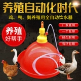 Утолщенная платаат -утка, гусь и курица с автоматическим нагревателем питьевой воды с кастрюлем для поднятия куриного снаряжения куриные принадлежности