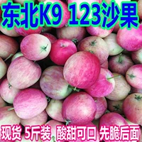 Северо -восток Шагуо К9 Ша Го Кай Джиу Ша Го не -бедгония фрукты 123 маленькие яблоки 5 коттти