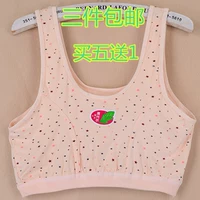 3 cái của trung và cũ tuổi của phụ nữ đồ lót cotton vest mùa hè kích thước lớn không có vòng thép mẹ áo ngực đáy đoạn ngắn váy 2 dây