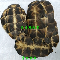 Доска для черепах китайский лекарственный материал. Сырая черепаха 500 грамм 108 yuan Щеллющими черепахой порошок, пожалуйста, оставьте сообщение