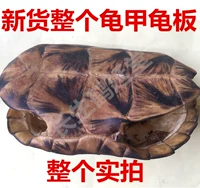 Китайский лекарственный материал по всему черепахе, черепаха с раковиной с тарелкой черепах 68 Юань город.