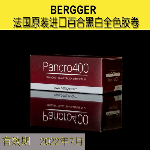 Черно -белая комната Lily Bergger Pancro 400 120 Черно -белая негативная пленка Черно -белая пленка