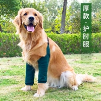 Темно -зеленая осень и зима плюс тонкий бархатный стиль теплой прокладки