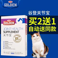 Gudeng doanh kho báu tập trung cá mập chondroitin cat dog guard doanh xương mạnh mẽ pet dinh dưỡng và sản phẩm sức khỏe 	sữa cho chó có bầu