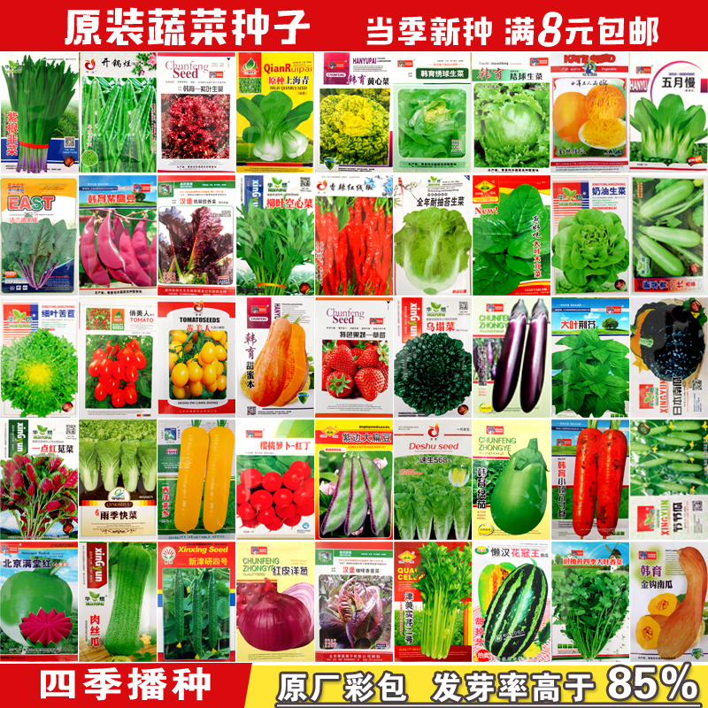 Семена овощей цена. Семена овощей. Китайские семена. Японские семена овощей. Семена овощей из Китая.