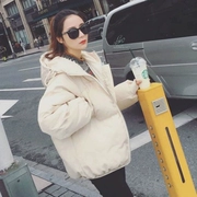 Chống mùa xuống cotton pad 2018 mùa đông mới của Hàn Quốc phiên bản của các dịch vụ bánh mì nữ đoạn ngắn fluffy coat bông nhỏ jacket coat triều
