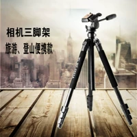 Weifeng WF6663A hợp kim nhôm chuyên nghiệp chân máy ảnh DSLR khung hình ống kính tele chân máy du lịch - Phụ kiện máy ảnh DSLR / đơn túi máy ảnh canon