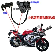 Horizon 150 Kawasaki Ninja phía sau bơm phanh chính xi lanh Xunlong 200 phía sau đĩa phanh khung phanh phụ kiện - Pad phanh