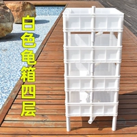 Белая коробка черепахи (4 -й этаж)