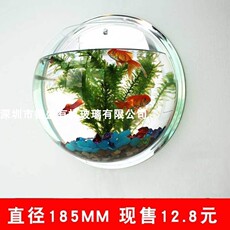 ПММА 创意壁挂鱼缸悬挂挂墙水族箱生态客厅餐厅亚克力墙壁金鱼缸迷你缸