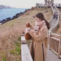 2018 lá nhỏ bong bóng mùa thu và mùa đông sản phẩm mới ve áo len len dày cashmere áo khoác dài - Trung bình và dài Coat áo khoác nữ kaki