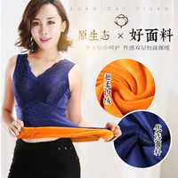 Mùa thu và mùa đông cộng với nhung dày bụng hỗ trợ ngực ấm vest nữ đồ lót nhiệt hàng đầu vest vest nữ áo lót nam đẹp