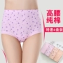 Đồ lót 4 tuổi cho mẹ đồ lót trung niên nữ cotton cũ cộng với phân bón tăng eo cao quần short tam giác cotton mùa hè quan lot ren dep 